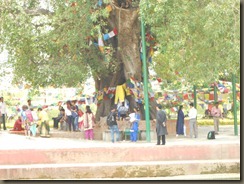 DSCN8140